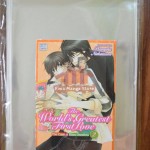 Manga Sleeves with English Yaoi Manga