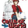 Cells At Work Vol. 01