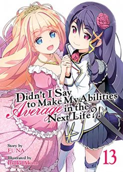Didn't I Say To Make My Abilities Average In The Next Life?! (Novel) Vol. 13