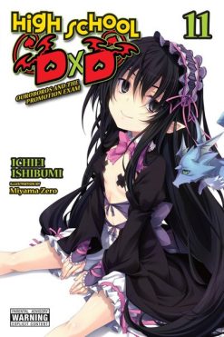 High School DxD Novel Vol. 11