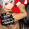 Is It Wrong to Try to Pick Up Girls in a Dungeon? II Vol. 01