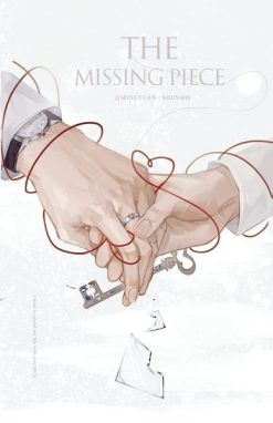 The Missing Piece Novel Market Edition