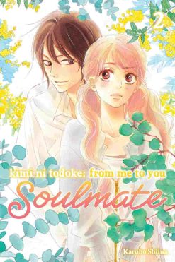Kimi Ni Todoke: Soulmate Vol. 02