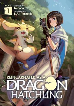 Reincarnated as a Dragon Hatchling (Novel) Vol. 01