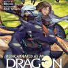 Reincarnated as a Dragon Hatchling (Novel) Vol. 02