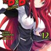 High School DxD (Novel) Vol. 12