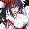 High School DxD (Novel) Vol. 13