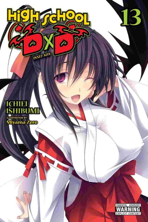 High School DxD (Novel) Vol. 13