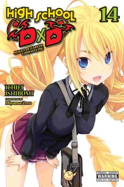 High School DxD (Novel) Vol. 14