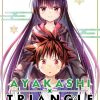 Ayakashi Triangle Vol. 11