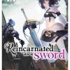 Reincarnated as a Sword (Novel) Vol. 11