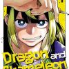 Dragon and Chameleon Vol. 01